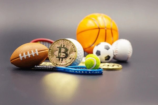 Net Crypto Data News
