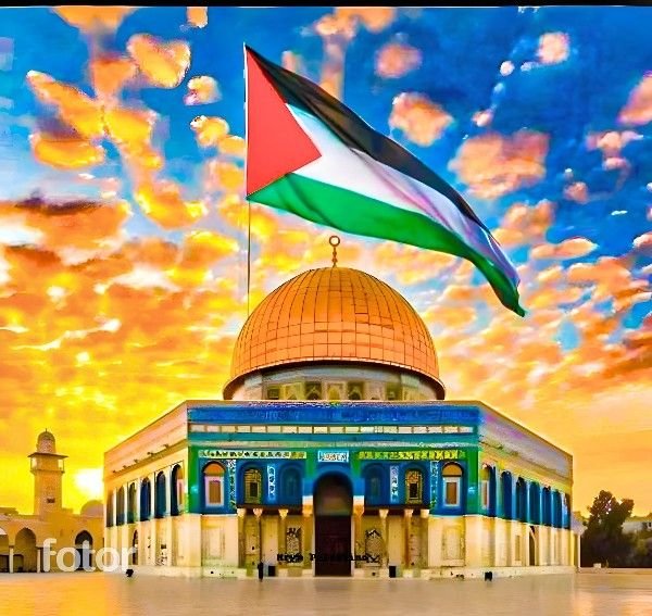 Al Aqsa Times, Al Aqsa International News, Al Aqsa Muslim News, Muslim Community News, Latest Al Aqsa News, Al Aqsa News, Palestine, Palestine Country, Palestine Flag, Palestine Capital, Palestine News, Gaza News, Al-Aqsa News