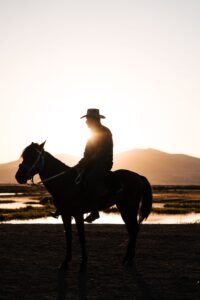 Rider News , ghost rider news , rider news today , Rush News , Bike Rider , gold rush news , cooper rush news , gold rush news today , live News , Play News , Update News , Hot News , Daily Rider News , Rider News , Live Updates , news platform , real-time news updates , Breaking News , Breaking News Updates , Global News Updates , Rush News , World Economy , Rider Live News , rider news today , latest rider news , rider news live , breaking rider news , global rider news , rider news update , trending rider news ,